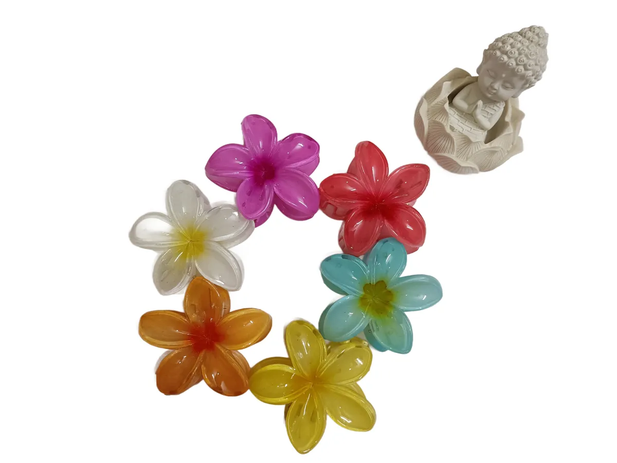 6 Multicolor Big Flower Hair Claw Clips