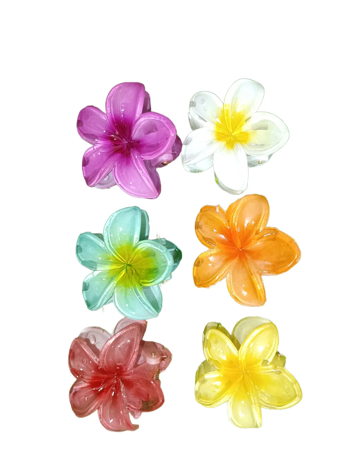 6 Multicolor Flower Hair Claw Clips